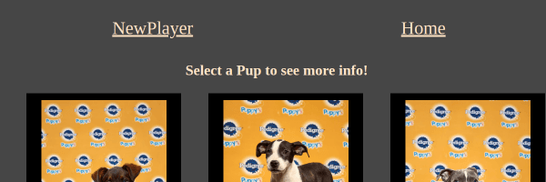 Puppy Bowl V2